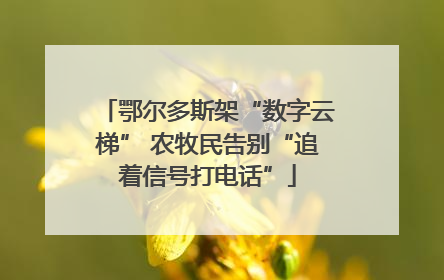 鄂尔多斯架“数字云梯” 农牧民告别“追着信号打电话”