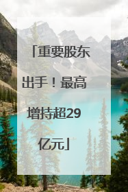 重要股东出手！最高增持超29亿元