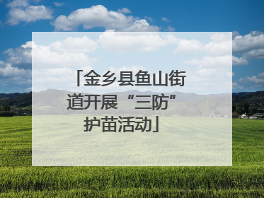 金乡县鱼山街道开展“三防”护苗活动