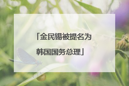 金民锡被提名为韩国国务总理