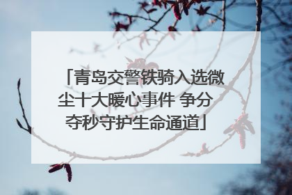 青岛交警铁骑入选微尘十大暖心事件 争分夺秒守护生命通道