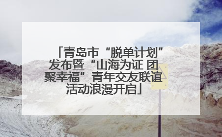 青岛市“脱单计划”发布暨“山海为证 团聚幸福”青年交友联谊活动浪漫开启