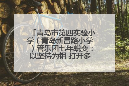 青岛市第四实验小学（青岛新昌路小学）管乐团七年蜕变：以坚持为钥 打开多元成长之门
