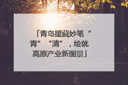 青岛援藏妙笔“青”“清”，绘就高原产业新图景