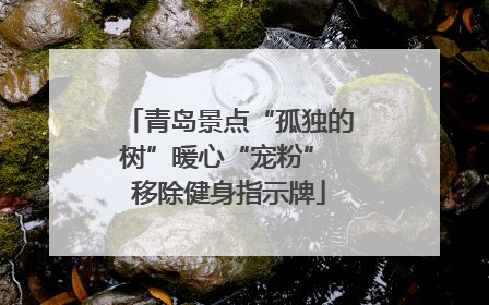 青岛景点“孤独的树”暖心“宠粉” 移除健身指示牌