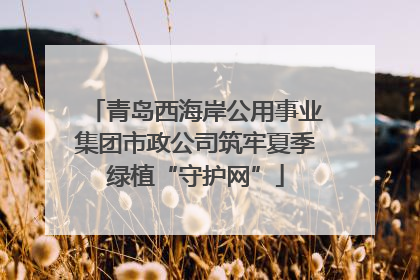 青岛西海岸公用事业集团市政公司筑牢夏季绿植“守护网”