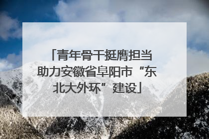 青年骨干挺膺担当 助力安徽省阜阳市“东北大外环”建设