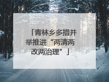 青林乡多措并举推进“两清两改两治理”