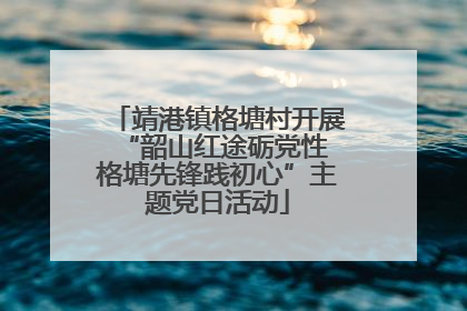 靖港镇格塘村开展“韶山红途砺党性 格塘先锋践初心”主题党日活动