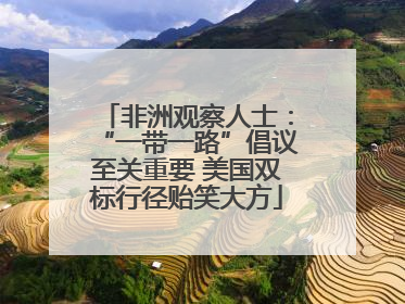 非洲观察人士：“一带一路”倡议至关重要 美国双标行径贻笑大方