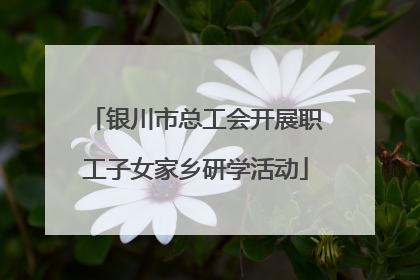 银川市总工会开展职工子女家乡研学活动