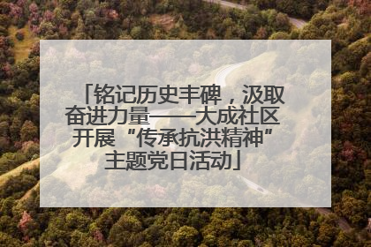 铭记历史丰碑，汲取奋进力量——大成社区开展“传承抗洪精神”主题党日活动
