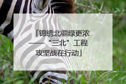 锦绣北疆绿更浓——“三北”工程攻坚战在行动