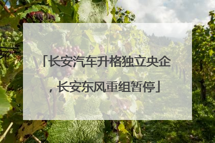 长安汽车升格独立央企，长安东风重组暂停
