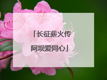 长征薪火传 阿坝爱同心