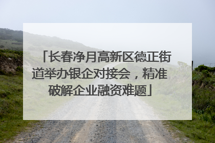 长春净月高新区德正街道举办银企对接会，精准破解企业融资难题