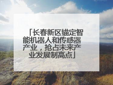 长春新区锚定智能机器人和传感器产业，抢占未来产业发展制高点
