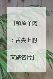 镇原羊肉：舌尖上的文旅名片
