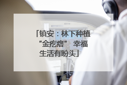 镇安：林下种植“金疙瘩” 幸福生活有盼头