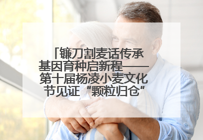 镰刀割麦话传承 基因育种启新程——第十届杨凌小麦文化节见证“颗粒归仓”时空跨越