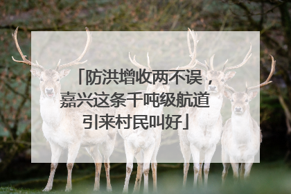 防洪增收两不误，嘉兴这条千吨级航道引来村民叫好