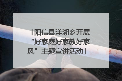 阳信县洋湖乡开展“好家庭好家教好家风”主题宣讲活动