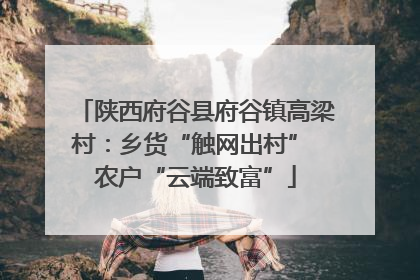 陕西府谷县府谷镇高梁村：乡货“触网出村” 农户“云端致富”