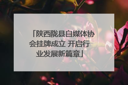 陕西陇县自媒体协会挂牌成立 开启行业发展新篇章
