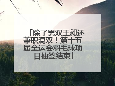 除了男双王昶还兼职混双！第十五届全运会羽毛球项目抽签结束
