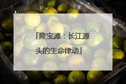 隆宝滩：长江源头的生命律动