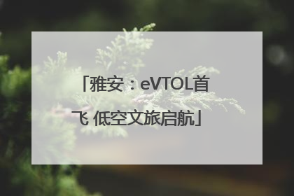雅安：eVTOL首飞 低空文旅启航