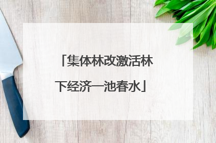 集体林改激活林下经济一池春水