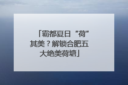 霸都夏日“荷”其美？解锁合肥五大绝美荷塘