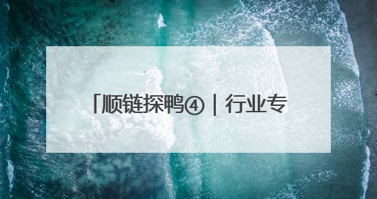 顺链探鸭④｜行业专家：我省肉鸭养殖品种80%是樱桃谷鸭