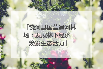 饶河县国营通河林场：发展林下经济 焕发生态活力