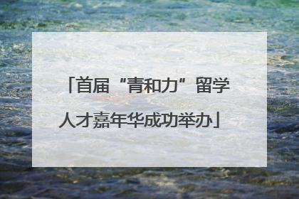 首届“青和力”留学人才嘉年华成功举办