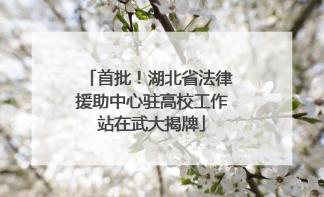 首批！湖北省法律援助中心驻高校工作站在武大揭牌