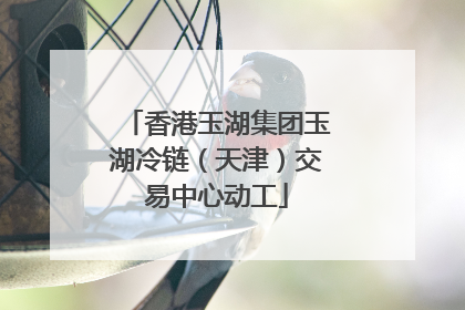 香港玉湖集团玉湖冷链（天津）交易中心动工