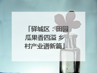 驿城区：田园瓜果香四溢 乡村产业谱新篇