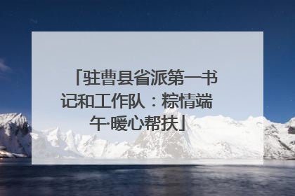 驻曹县省派第一书记和工作队：粽情端午·暖心帮扶