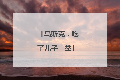 马斯克：吃了儿子一拳
