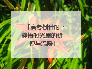 高考倒计时：静悟时光里的拼搏与温暖