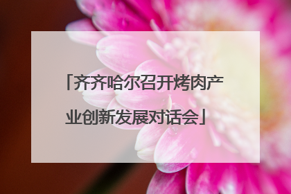 齐齐哈尔召开烤肉产业创新发展对话会