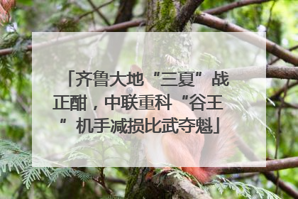 齐鲁大地“三夏”战正酣，中联重科“谷王”机手减损比武夺魁