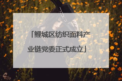 鲤城区纺织面料产业链党委正式成立