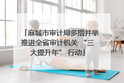 麻城市审计局多措并举推进全省审计机关 “三大提升年” 行动
