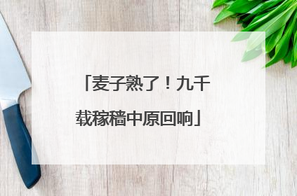 麦子熟了！九千载稼穑中原回响