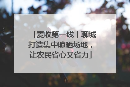 麦收第一线丨聊城打造集中晾晒场地，让农民省心又省力