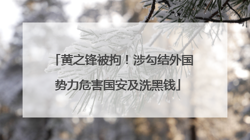 黄之锋被拘！涉勾结外国势力危害国安及洗黑钱