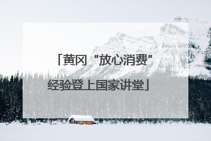 黄冈“放心消费”经验登上国家讲堂